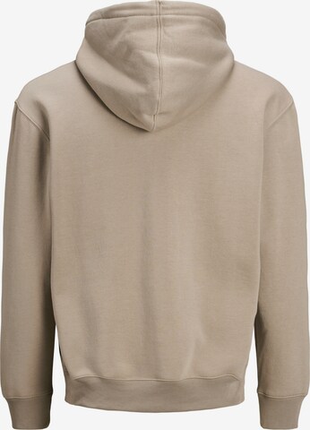 JACK & JONES Sweatshirt 'Soft' i beige