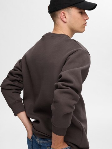 SELECTED HOMME Свитшот 'SLHREG-DAN' в Коричневый