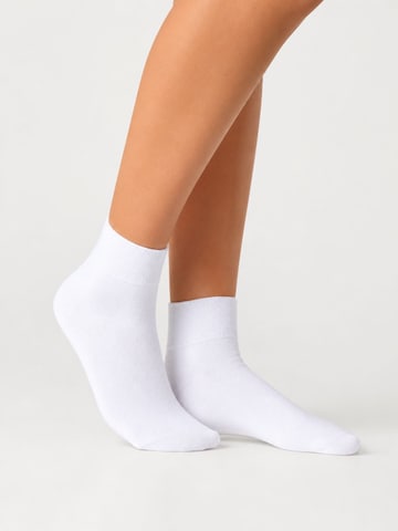 sockenkauf24 Socks in White