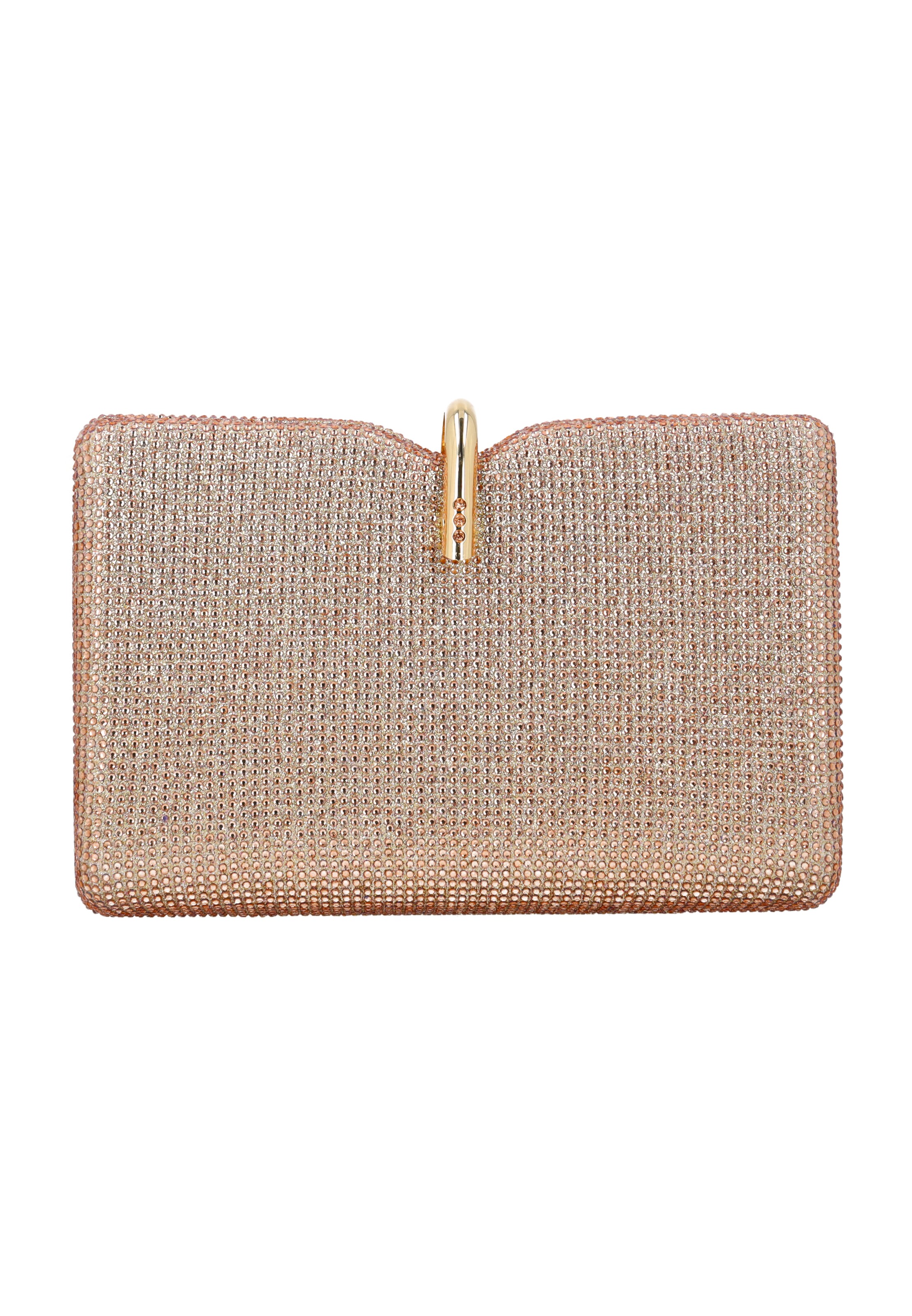 usha BLACK LABEL Clutch in Beige: front