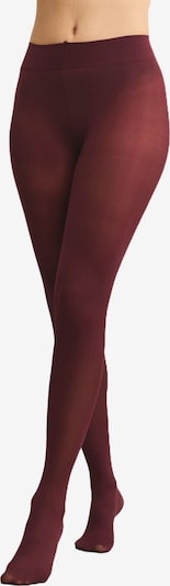Next Nylonsukkahousut värissä burgundin punainen, Tuotenäkymä