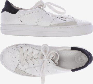 Paul Green Sneakers & Trainers in 35,5 in White: front
