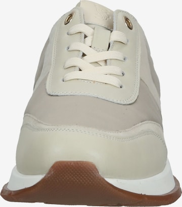 SALAMANDER Sneaker in Beige