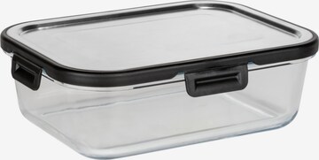 Wenko Storage Container in Transparent: front