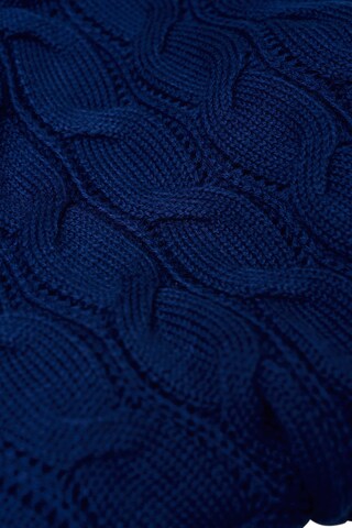 Salsa Jeans Pullover in Blau