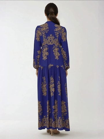 Hiccup Dress in Blue