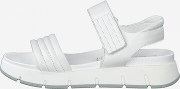 MARCO TOZZI Sandalen met riem in Wit: voorkant