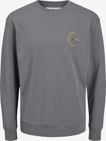 R.D.D. ROYAL DENIM DIVISION Sweatshirt 'Dean' in Grey: front