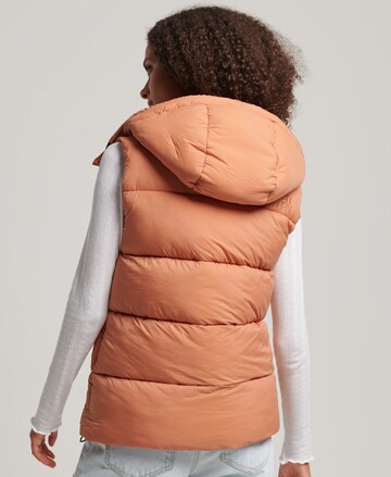 Superdry Bodywarmer in Oranje