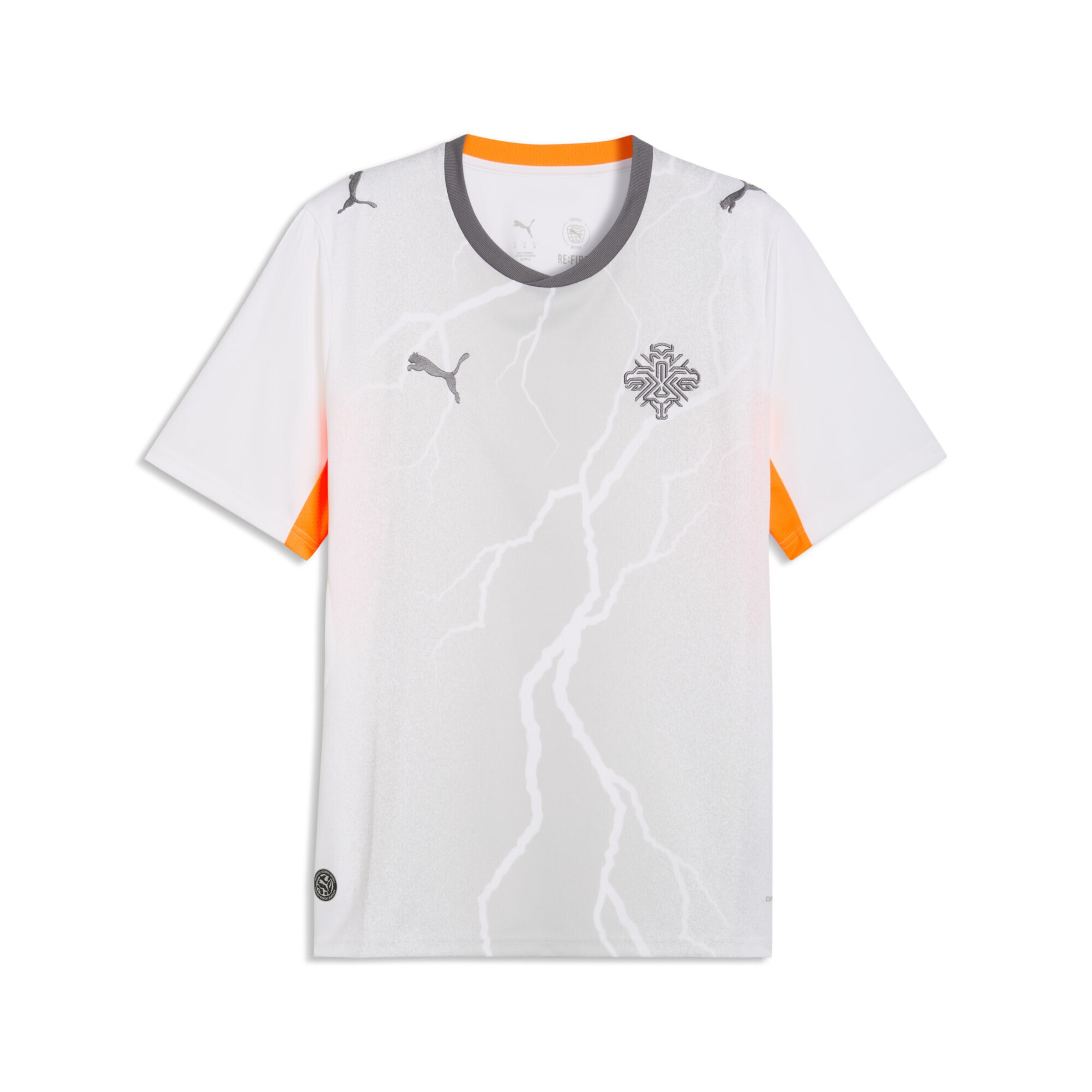 PUMA Trikot 'Island 2026' in grau / orange / weiß, Produktansicht
