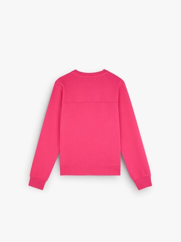 Sweat-shirt 'Fade' Scalpers en rose