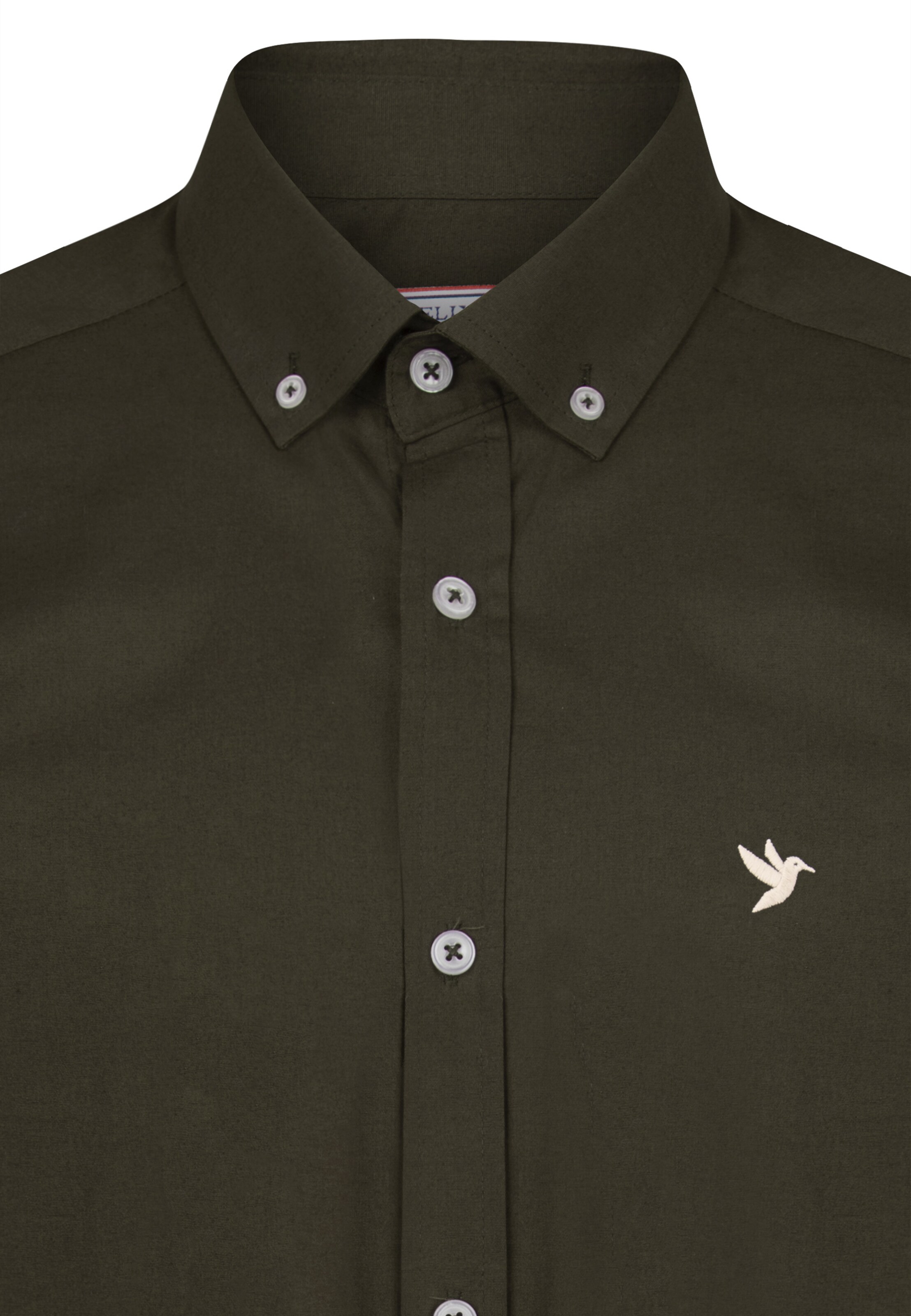 Felix Hardy Regular fit Button Up Shirt in Green