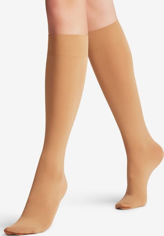 FALKE Overknee Strümpfe 'Seidenglatt' in Beige: Vorderseite