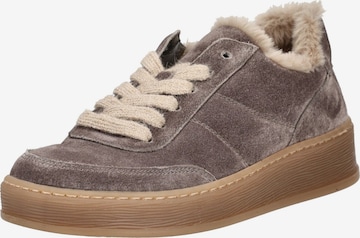 Sneaker bassa di GABOR in beige: frontale