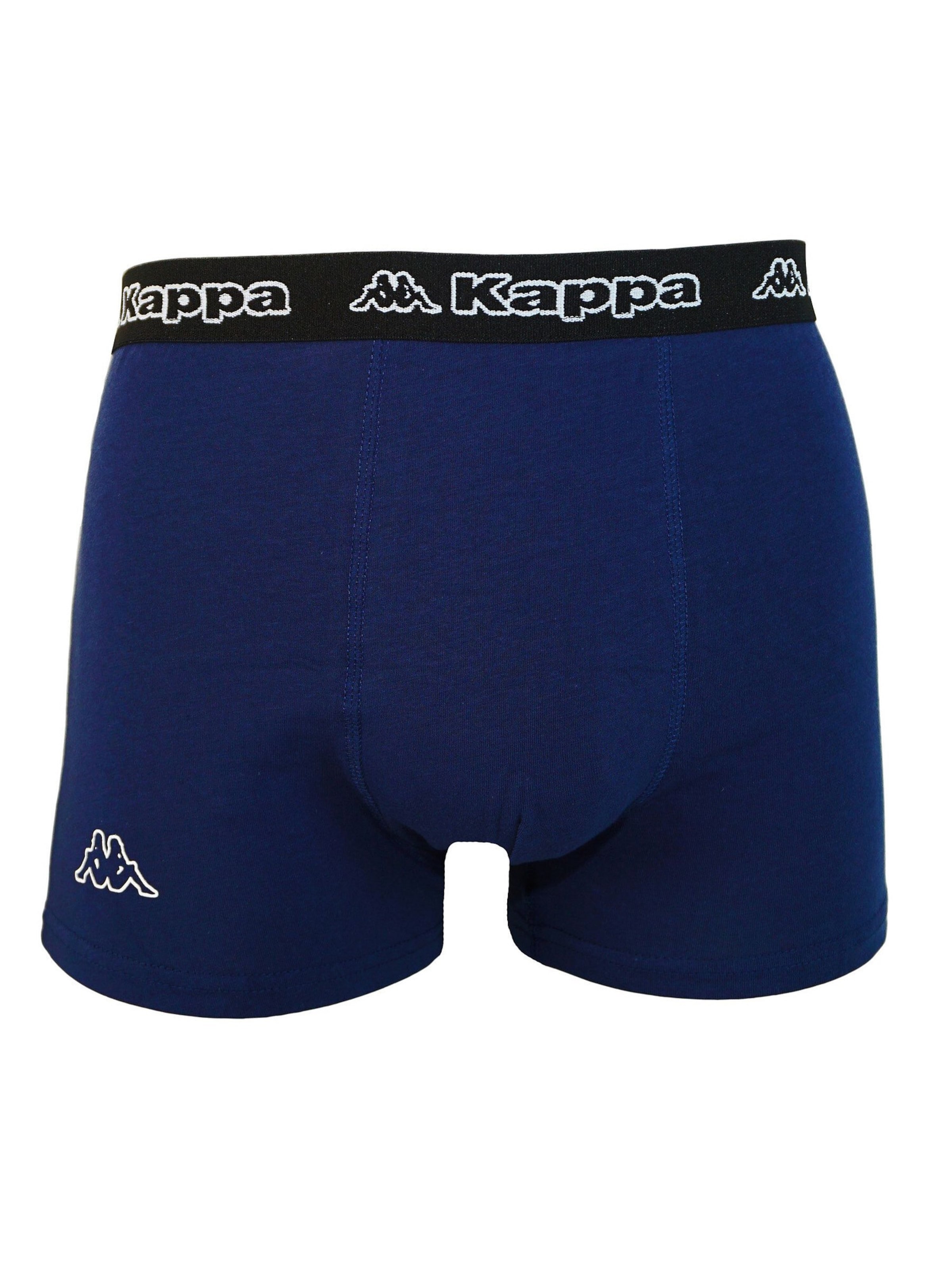 KAPPA Boxershorts 'Zaccharias' in Grau
