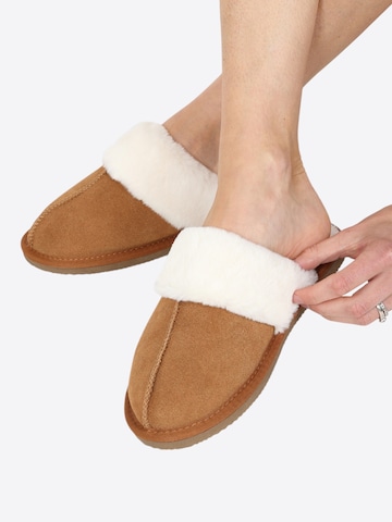 HotSquash Slippers in Brown