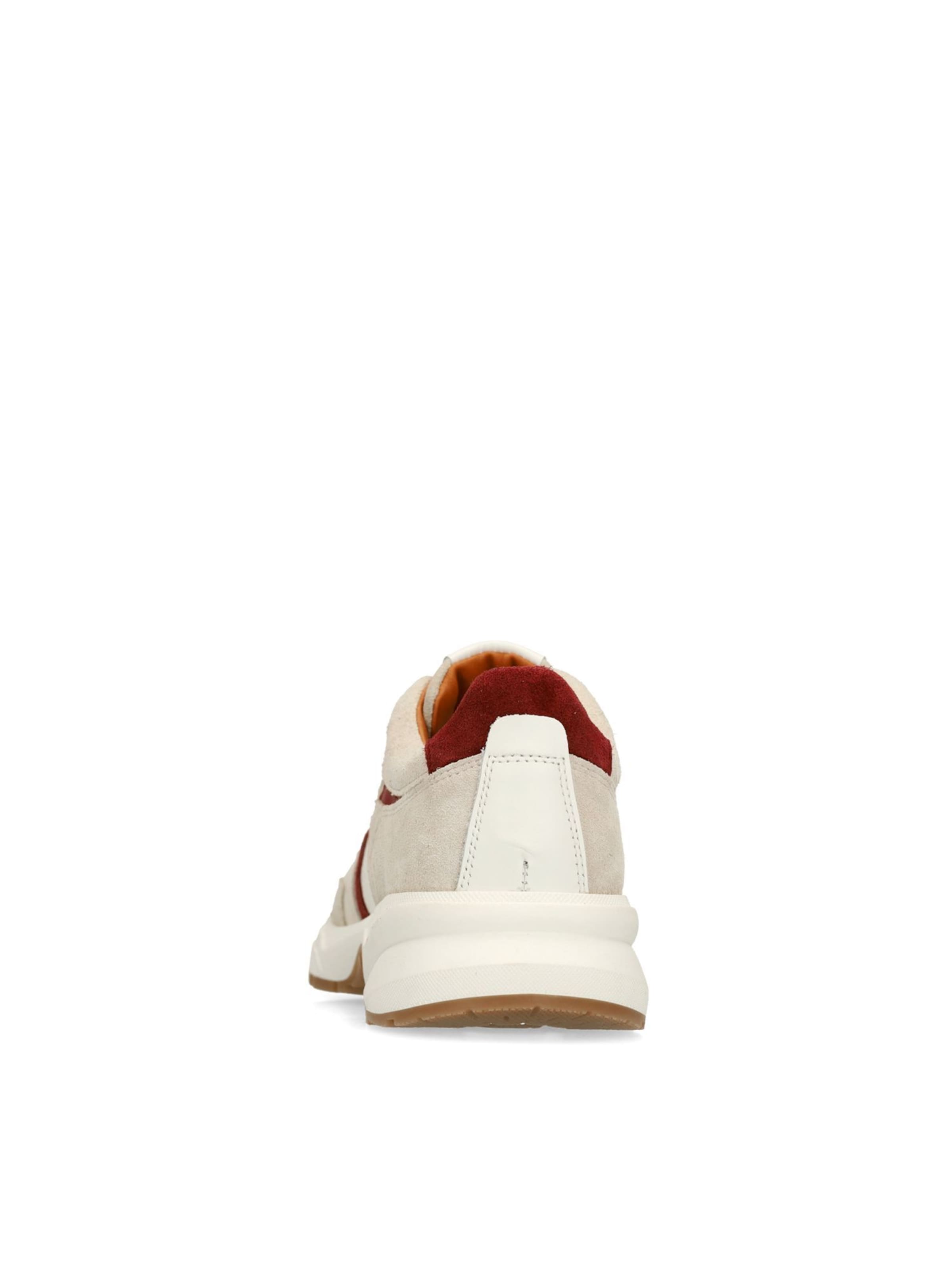 Baskets basses MANFIELD en beige