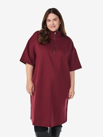 raudona Zizzi Suknelė 'Cakatalina': priekis