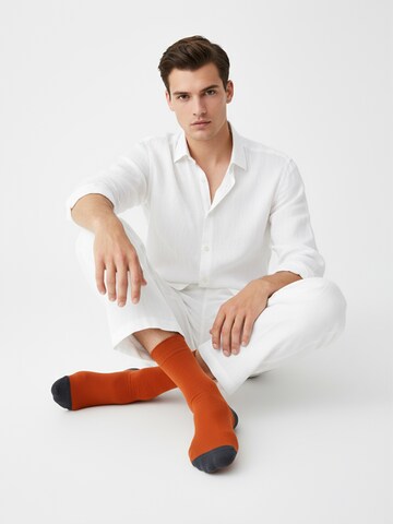 The Arctic Bay Socks 'ARCTIC WEEK EDITION 7 Pack Unisex' in Mixed colours