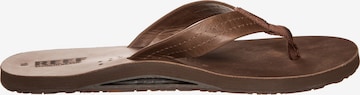 REEF Beach & Pool Shoes 'Draftsmen' in Brown