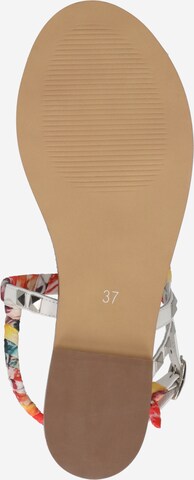 Dockers by Gerli Sandals in Mixed colors