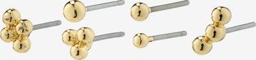 Pilgrim Earrings 'SOLIDARITY' in Gold: front