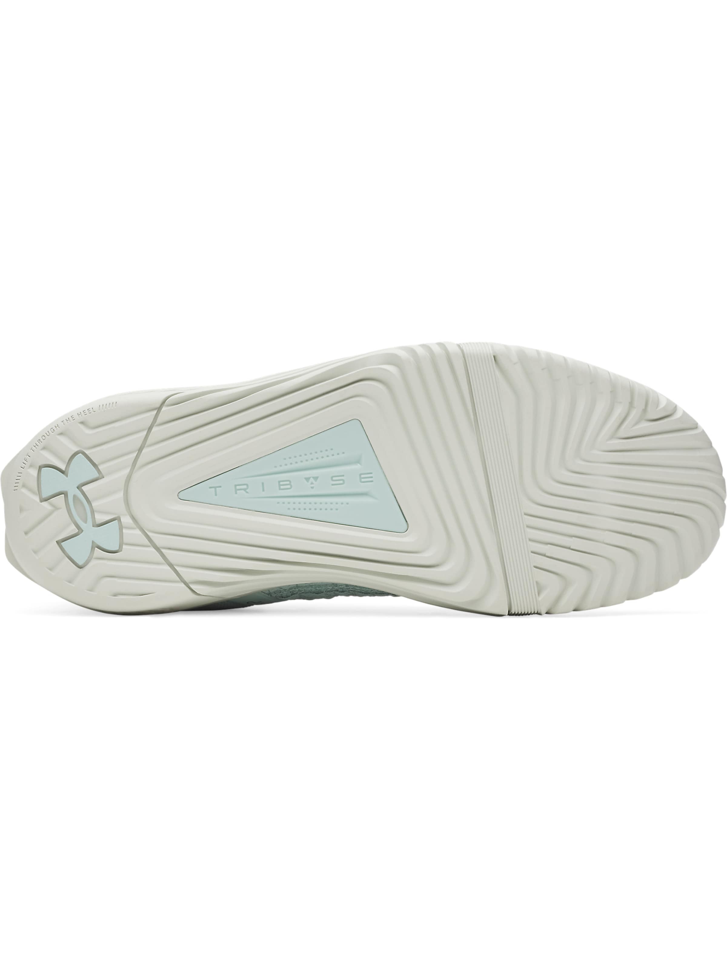 UNDER ARMOUR Sports shoe 'TriBase Reign 6' in Blue