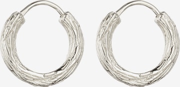 Boucles d'oreilles KUZZOI en argent : devant