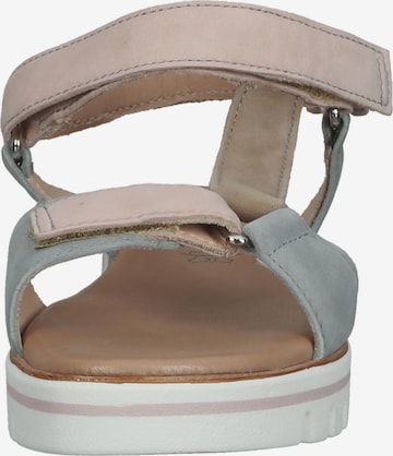 SALAMANDER Strap Sandals in Beige