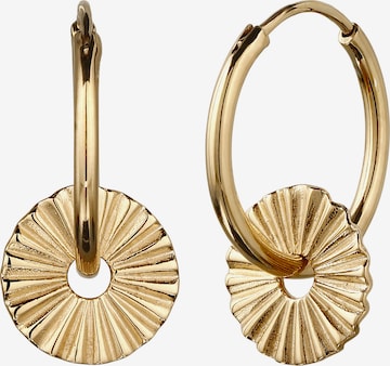 Boucles d'oreilles ELLI en or : devant