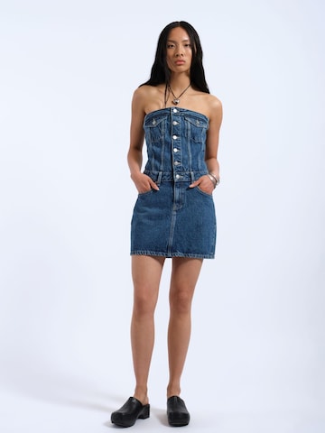 Dr. Denim Kleid 'Carlisle'‌‌‌‌‌‌‌‌ in Blau