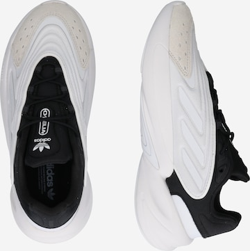 ADIDAS ORIGINALS Σνίκερ χαμηλό 'Ozelia' σε λευκό