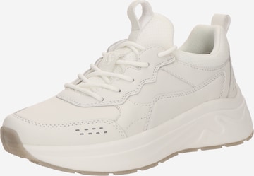 SALAMANDER Platform trainers in White: front