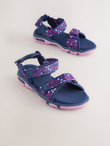 Sandales Next en violet