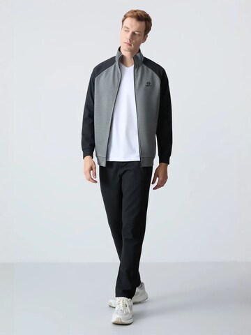 Survêtements Tommy Life en gris