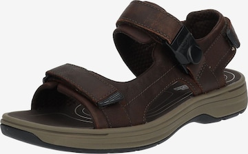 Sandalo di CLARKS in marrone: frontale