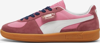 PUMA Sneaker 'Palermo' in gold / pitaya / magenta / weiß, Produktansicht