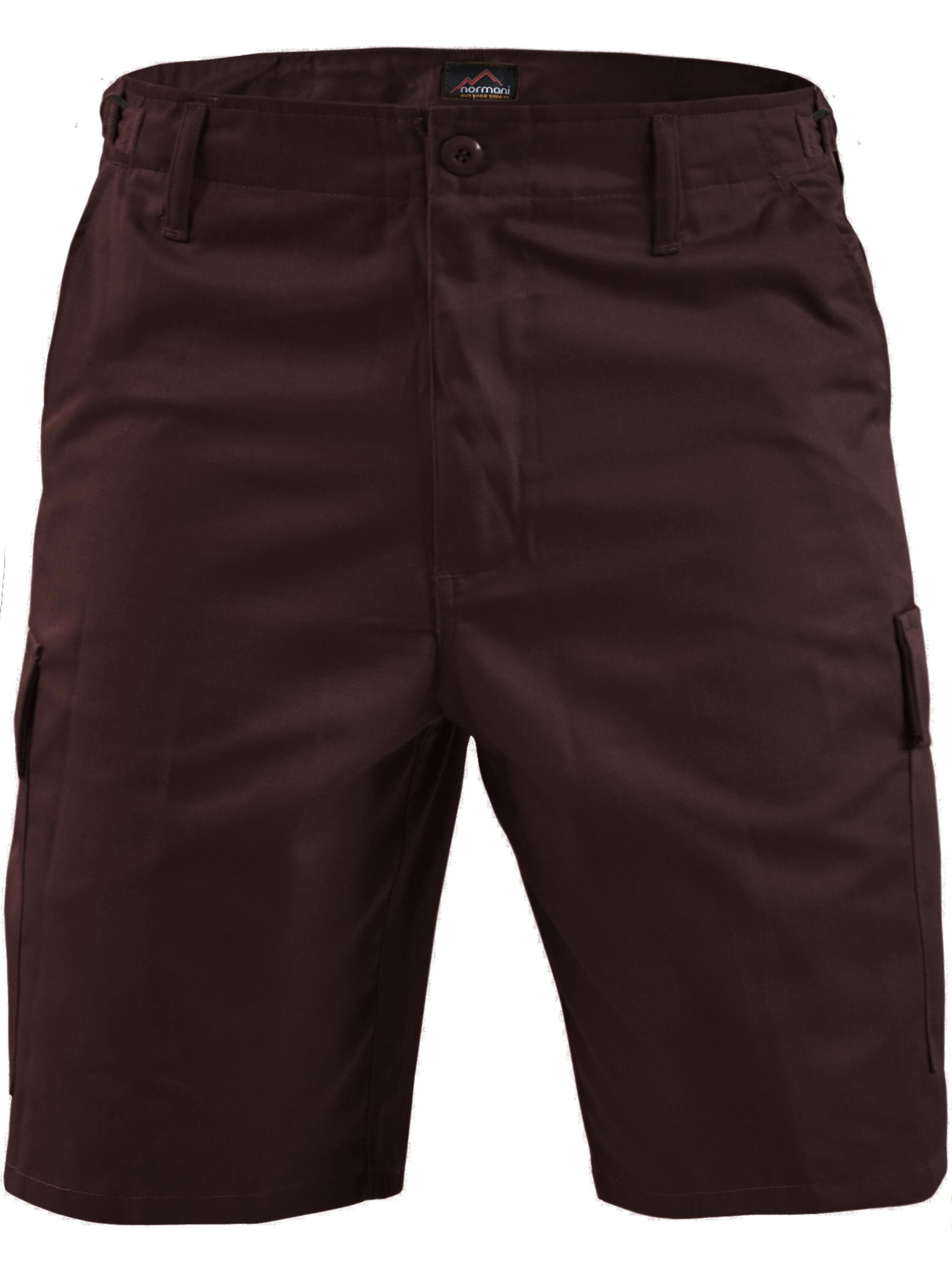 Pantalon outdoor 'Dasht' normani en marron : devant