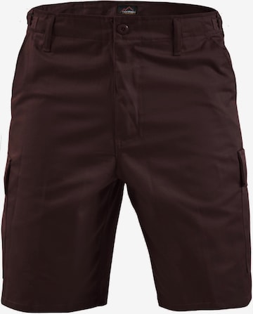 Pantalon outdoor 'Dasht' normani en marron : devant