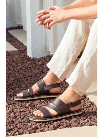 Sandalo di Derimod in marrone: frontale