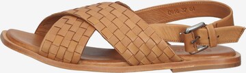 SHABBIES AMSTERDAM Sandals in Brown