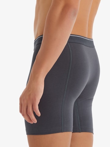 Blackspade Boxershorts in Grijs