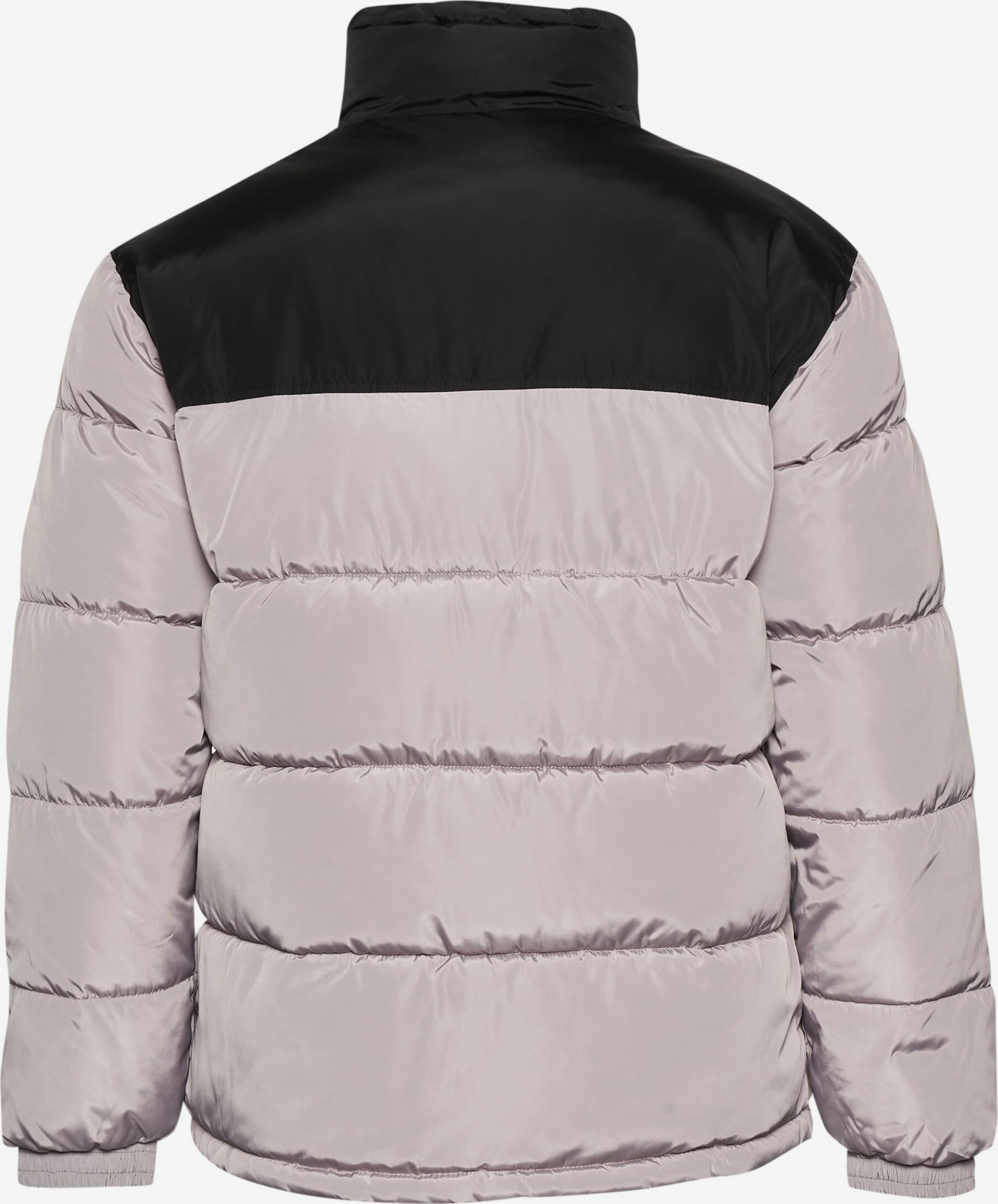 Karl Kani Winter Jacket 'Essential' in Light Grey ABOUT YOU