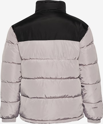 Karl Kani Winter jacket 'Essential' in Grey