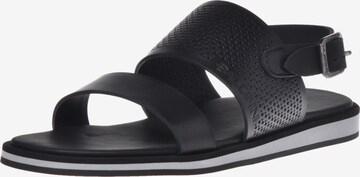 Baldinini Sandals in Black: front