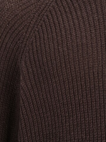 Jack & Jones Plus Pullover 'JJJONES' in Braun