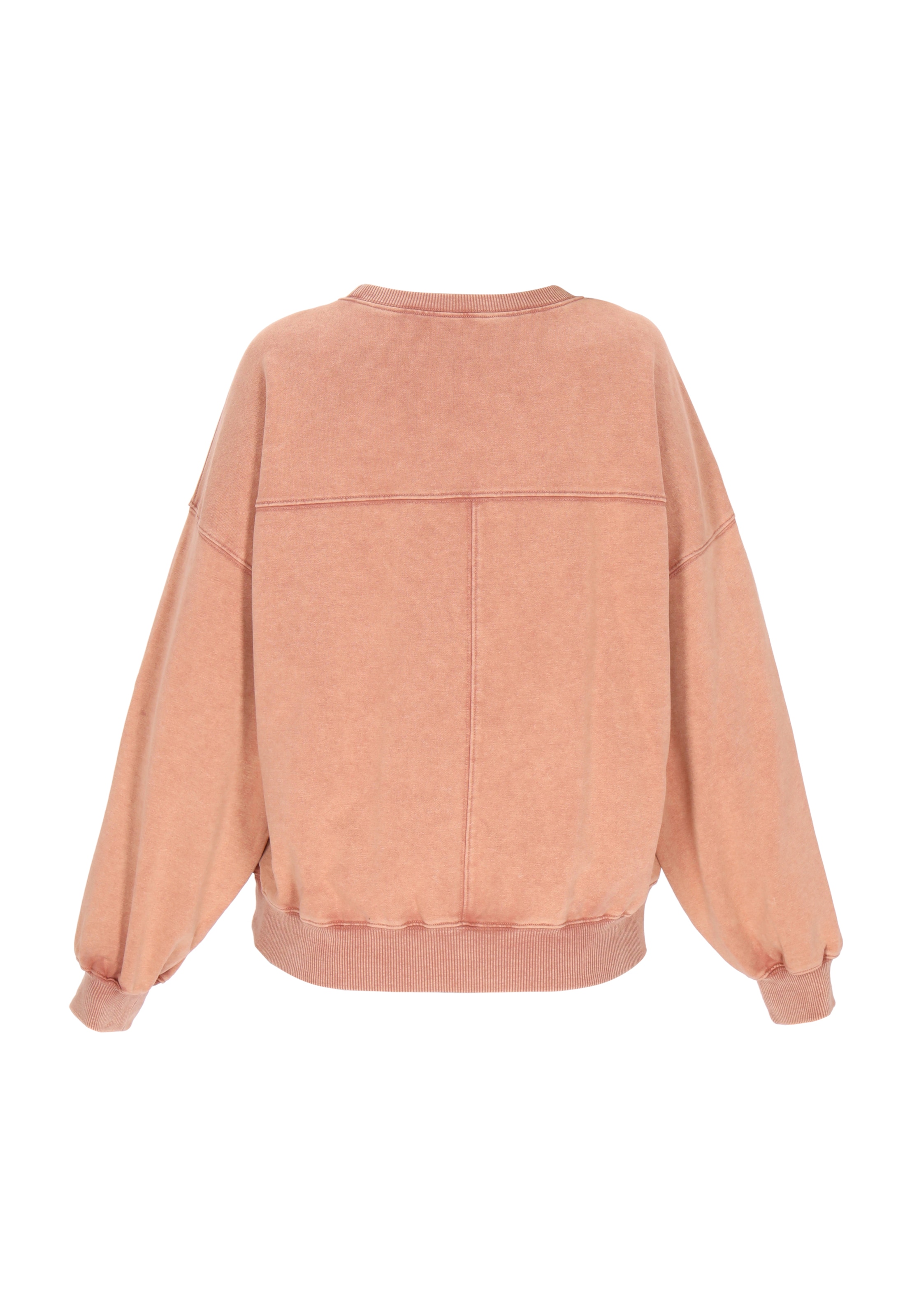 ebeeza Sweatshirt in Brown