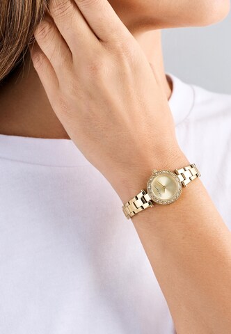 Ted Baker Analoog horloge 'JOLYYE ' in Goud: voorkant
