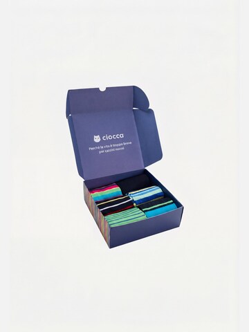 Ciocca Socks in Mixed colors
