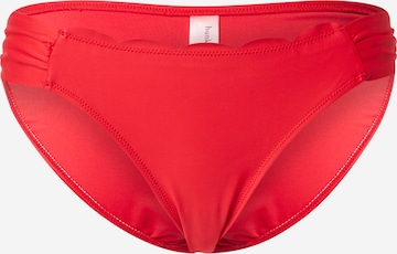 Hunkemöller Bikini Bottoms 'Scallop' in Red: front